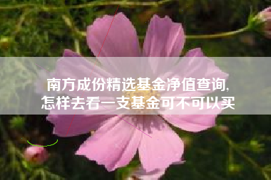 南方成份精选基金净值查询,
怎样去看一支基金可不可以买