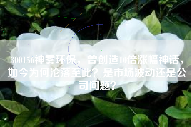 300156神雾环保，曾创造10倍涨幅神话，如今为何沦落至此？是市场波动还是公司问题？