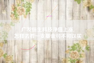 广发恒生科技净值上涨,
怎样去看一支基金可不可以买