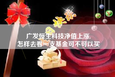 广发恒生科技净值上涨,
怎样去看一支基金可不可以买