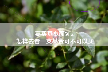 嘉实基本面50 a,
怎样去看一支基金可不可以买