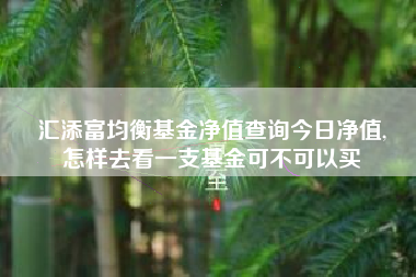 汇添富均衡基金净值查询今日净值,
怎样去看一支基金可不可以买