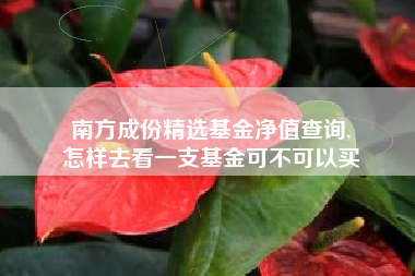南方成份精选基金净值查询,
怎样去看一支基金可不可以买