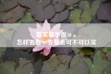 嘉实基本面50 a,
怎样去看一支基金可不可以买