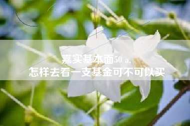 嘉实基本面50 a,
怎样去看一支基金可不可以买