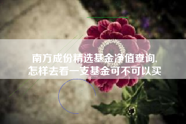 南方成份精选基金净值查询,
怎样去看一支基金可不可以买