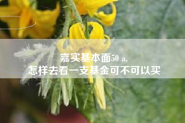 嘉实基本面50 a,
怎样去看一支基金可不可以买