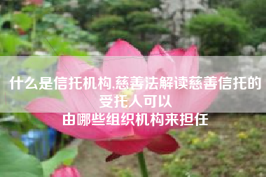 什么是信托机构,慈善法解读慈善信托的受托人可以
由哪些组织机构来担任 什么是信托机构,慈善法解读慈善信托的受托人可以
由哪些组织机构来担任