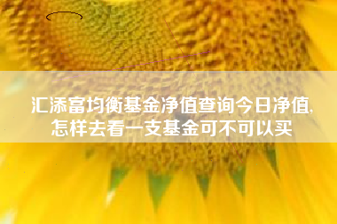 汇添富均衡基金净值查询今日净值,
怎样去看一支基金可不可以买